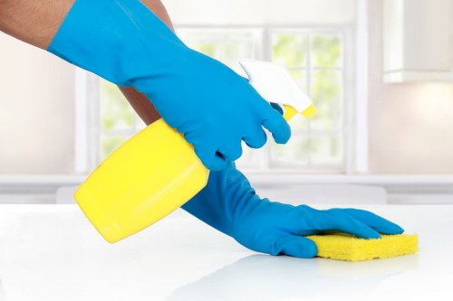 Supervisor checking service records for a deep clean