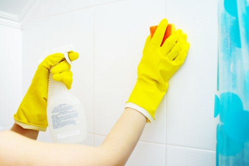 Window cleaning equipment and access setup for Fulham properties