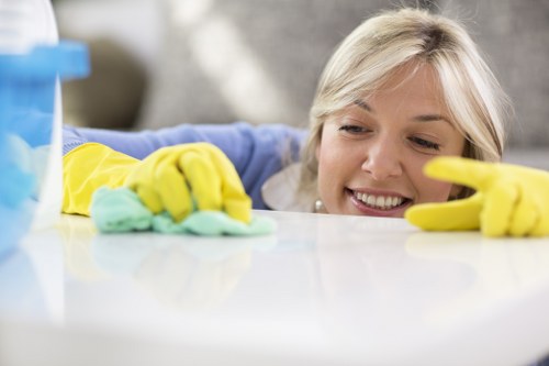Accessibility support message for Deep Cleaning Fulham visitors