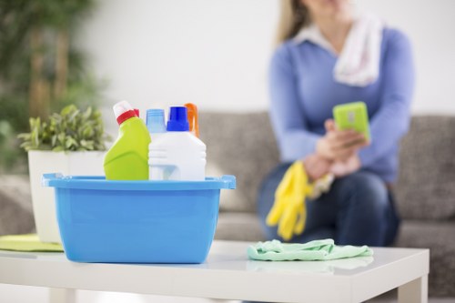 Final inspection after a professional deep cleaning service