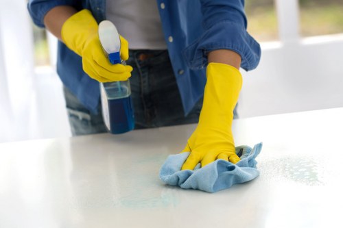 Fabric sofa and dining chair cleaning service in Fulham
