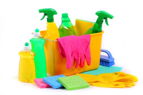 Cleaner working in a Fulham period property bathroom